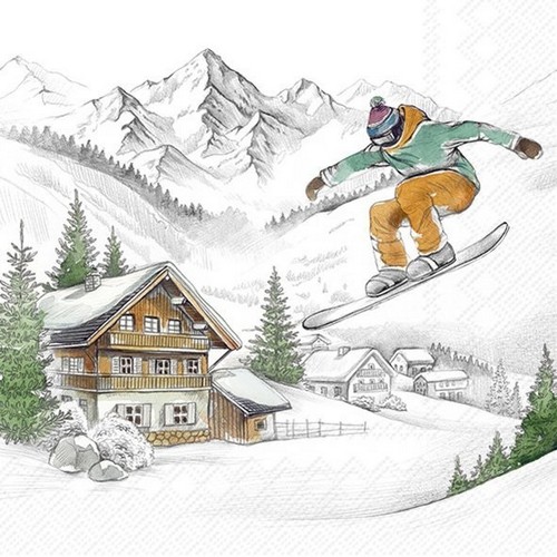 20 Servietten Ski Vacations - Skifahrer an Winterhütte 33x33cm