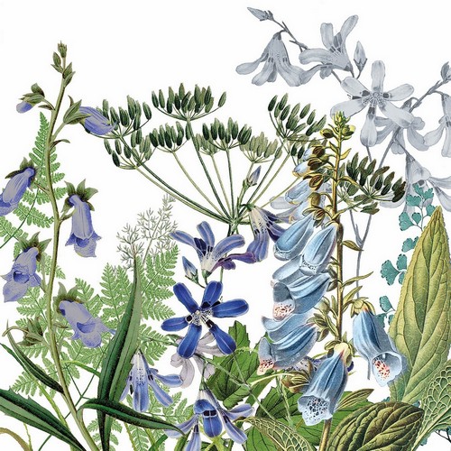 20 Servietten Donatella - Wilde Naturwiese mit Fingerhut 33x33cm