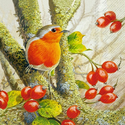20 Servietten Robin in the Forest - Vogel versteckt sich im Wald 33x33cm