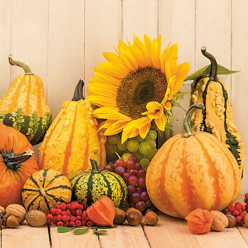 20 Servietten Autumn Pumpkins - Sonnenblume zwischen Kürbisse 33x33cm