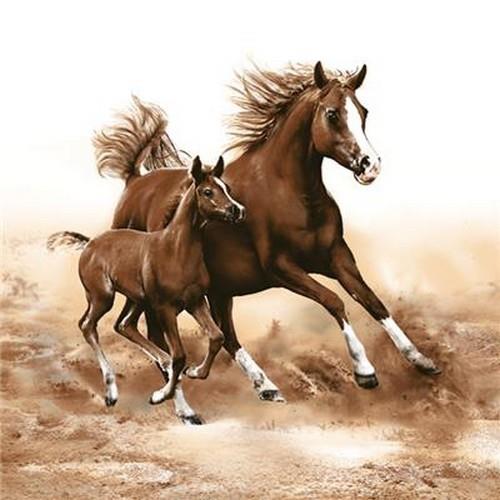 20 Servietten Mare with Foal – Pferde im Galopp 33x33cm