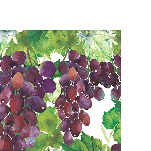 20 kleine Cocktailservietten Vineyard Elegance - Schön gemalte Weintrauben 25x25cm