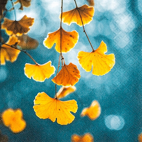 20 Servietten Natural Ginkgo - Ginkgo-Blätter auf blau 33x33cm