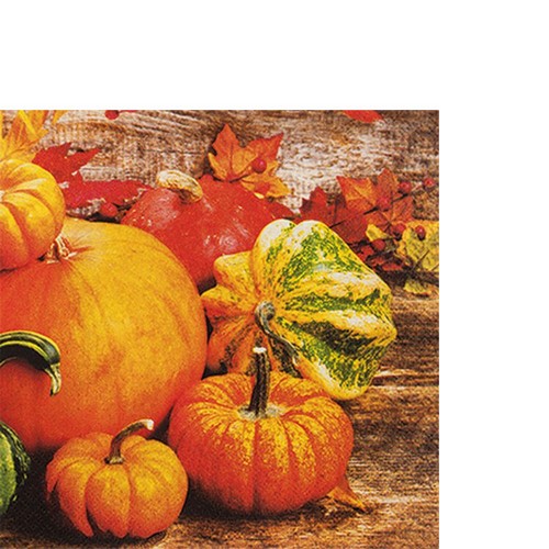20 kleine Cocktailservietten Pumpkins - Rustikale Kürbisse 25x25cm