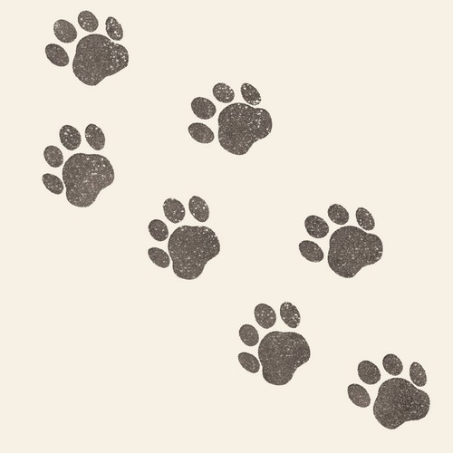 20 Servietten Paws - Schwarze Pfotenabdrücke 33x33cm