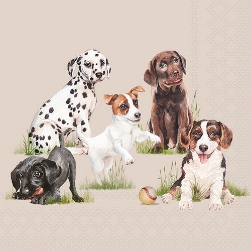 20 Servietten Playing Puppies - Hunderassen im Gras 33x33cm