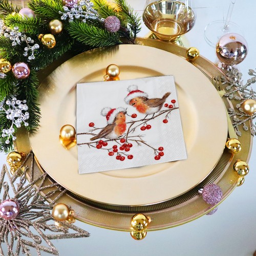 20 Servietten Christmas Robins white - Rotkehlchen mit Weihnachtsmütze 33x33cm