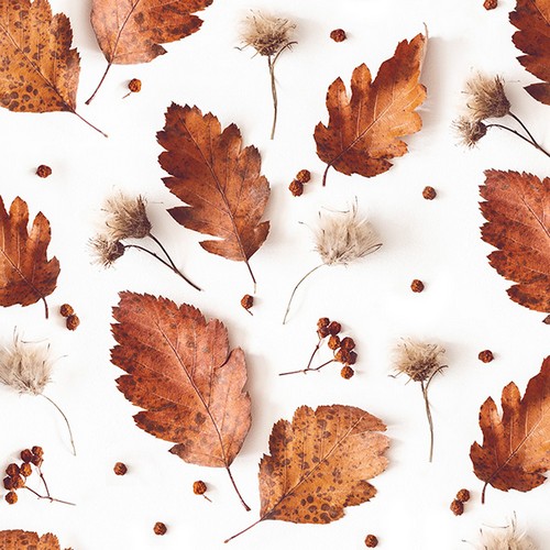 20 Servietten Soft Autumn - Sanfte Herbstblätter  33x33cm
