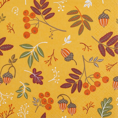 20 Servietten Autumn Collection orange - Naturelemente in Orange-Töne 33x33cm