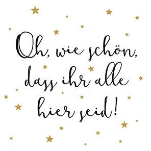 20 Servietten Wie schön im Winter 33x33cm