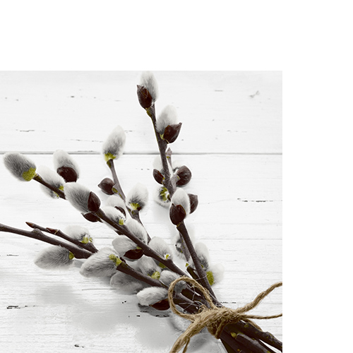 20 kleine Cocktailservietten Wild Willow - Natürliche Weidenkätzchen 25x25cm