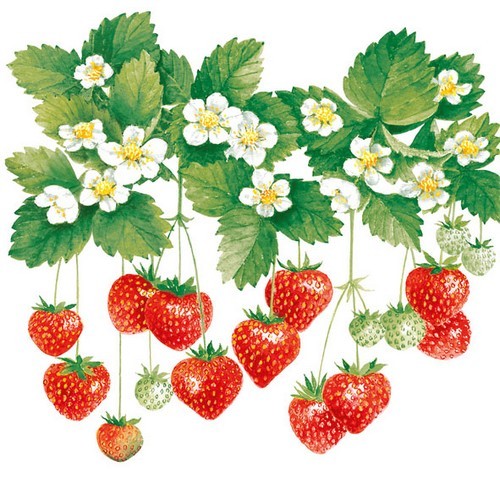 20 Servietten Summer Fruits - Hängende Erbeeren 33x33cm