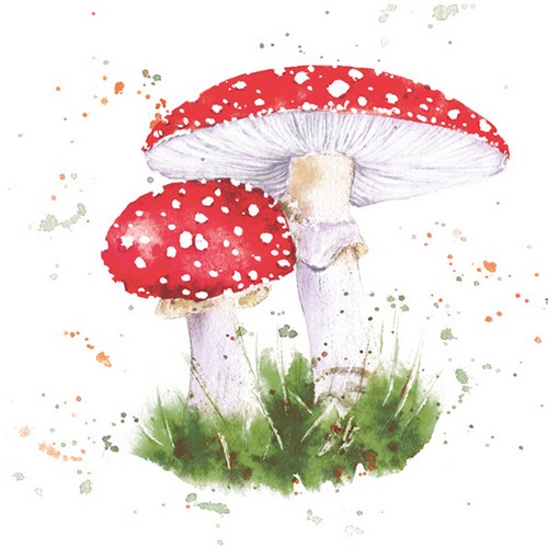 20 Servietten Painted Toadstool - Fliegenpilze aus Wasserfarben 33x33cm