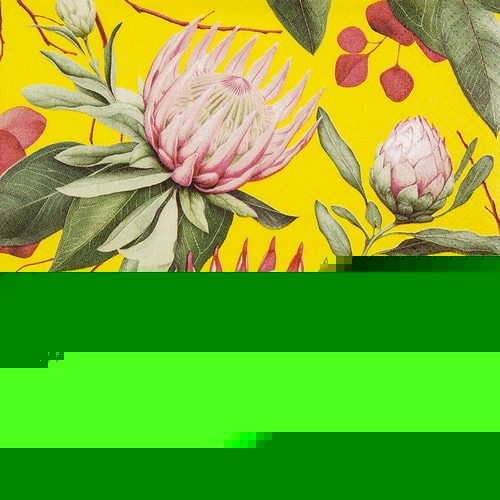 20 Servietten Madiba Protea yellow - Protea-Blüten gelb 33x33cm