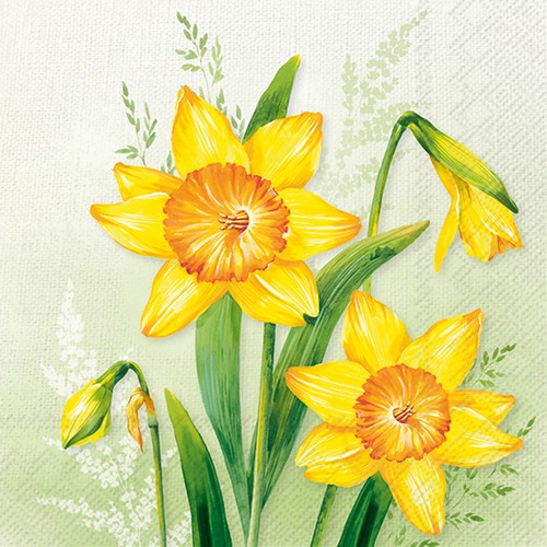20 Servietten Narzissa light green - Große Narzissen auf hellgrün 33x33cm