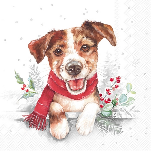 20 Servietten Louie - Niedlicher Hund mit Schal 33x33cm