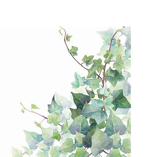 20 kleine Cocktailservietten Hedera white - Grüner Efeu auf weiß 25x25cm