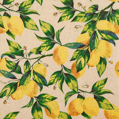 20 Servietten aus Recycling-Papier Citrus Branches eco - Zitronenzweige 33x33cm