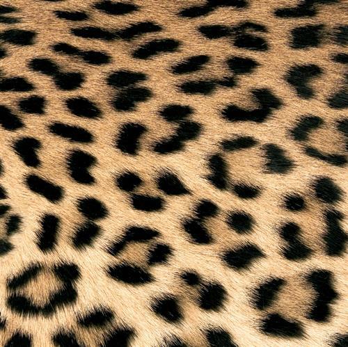 20 Servietten Leopard Couture – Fell des Leoparden 33x33cm