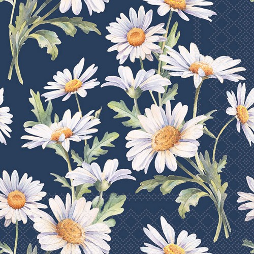20 Servietten Beautiful Daisies blue - Margeriten auf dunkelblau 33x33cm
