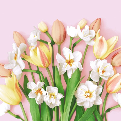 20 Servietten Tulip Joy - Tulpen und Osterglocken 33x33cm