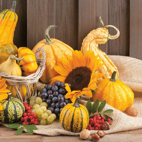 20 Servietten Autumn Fruits - Herbstfrüche geerntet 33x33cm