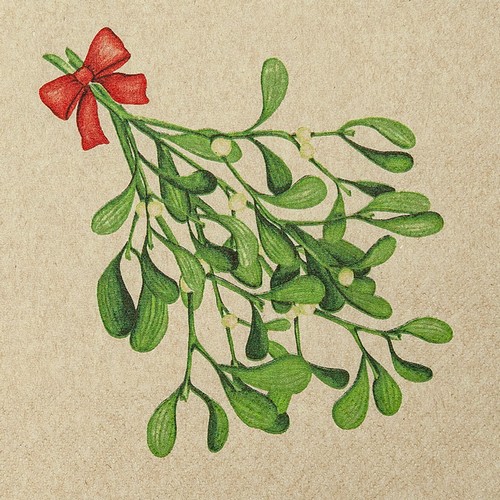 20 Servietten Eco Line Mistletoe Twigs - Grüner Mistelzweig 33x33cm