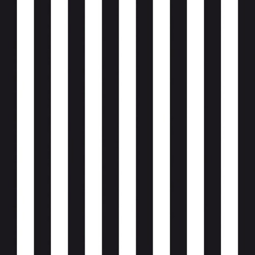 20 Servietten Stripes black - Streifen schwarz/weiß 33x33cm