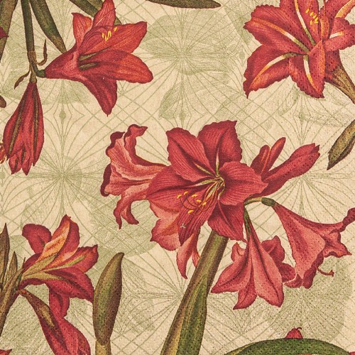 20 Servietten nachhaltig Natural Amaryllis - Überall wachsende Amaryllis 33x33cm