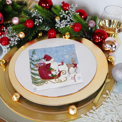 20 Servietten At the North Pole - Auf zum Nordpol 33x33cm