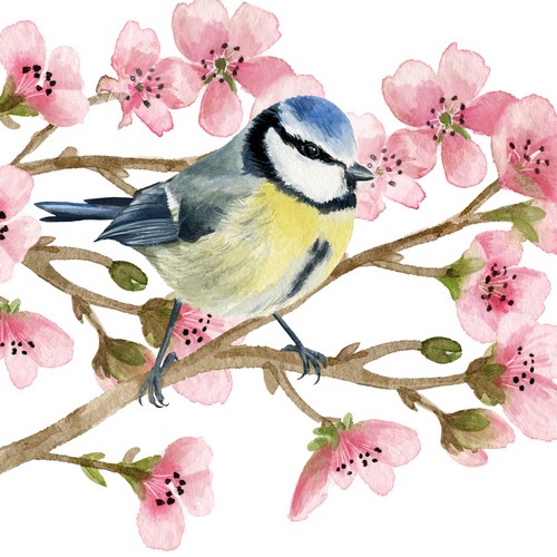 20 Servietten Oiseau Printemps - Blaumeisen in Frühlingszweige 33x33cm