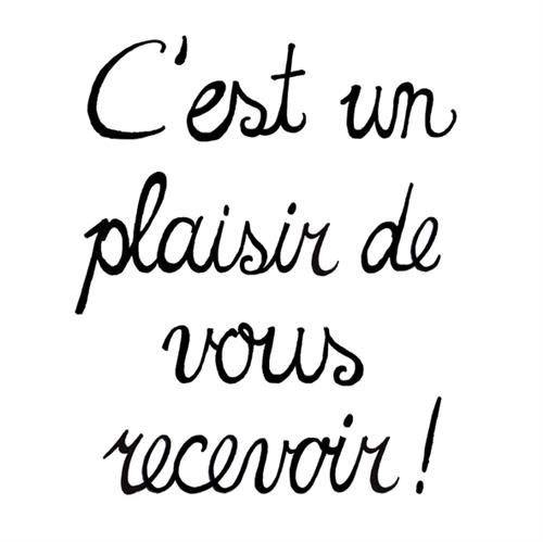 20 Servietten Plaisir 33x33cm