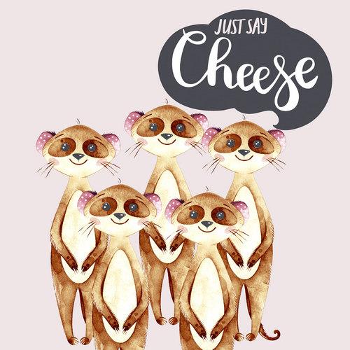 20 Servietten Say Cheese 33x33cm