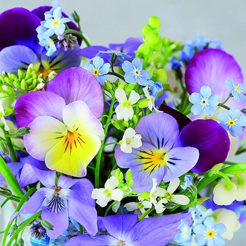 20 Servietten Violets & Forget Me  Not - Stiefmütterchen und Vergissmeinnicht 33x33cm
