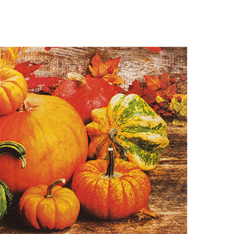 20 kleine Cocktailservietten Pumpkins - Rustikale Kürbisse 25x25cm