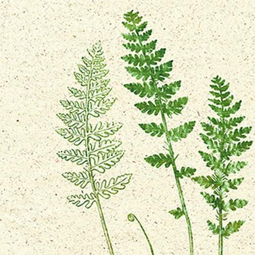 20 Servietten Jardin Deko natur - Botanik grün 33x33cm