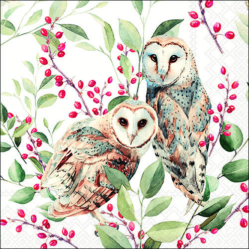 20 Servietten Barn Owl Couple - Eulen an Pflanzen mit grünen Blättern 33x33cm