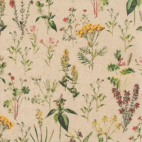 20 Servietten Eco Line Herbal Meadow - Wiese voller Pflanzen Eco 33x33cm