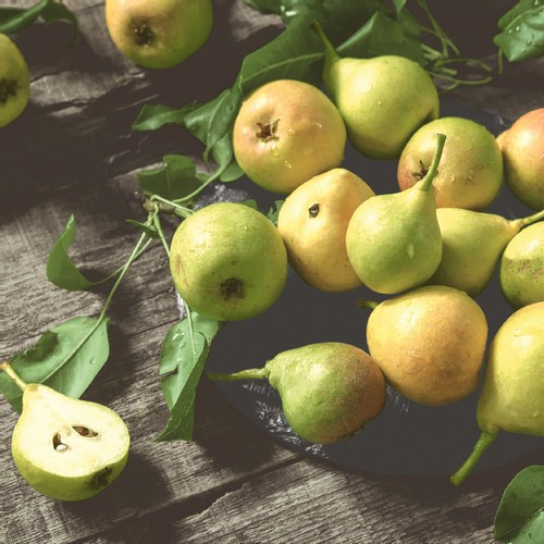 20 Servietten Rustic Pears - Rustikale Birnen 33x33cm