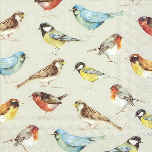20 Servietten The Birds - Vogelarten auf taupe 33x33cm