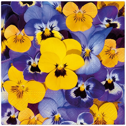 20 Servietten Looking Pansies - Stiefmütterchen übereinander 33x33cm