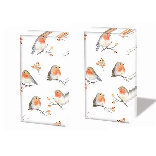 2x 10 Taschentücher Robins Family - Viele kleine Rotkehlchen