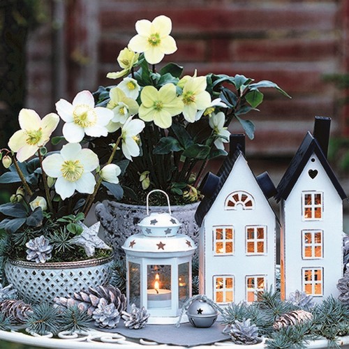 20 Servietten Lovely Decorations - Dekorierte Weihnachtsstadt 33x33cm