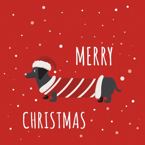 20 Servietten Dachshund - Dackel um Merry Christmas 33x33cm