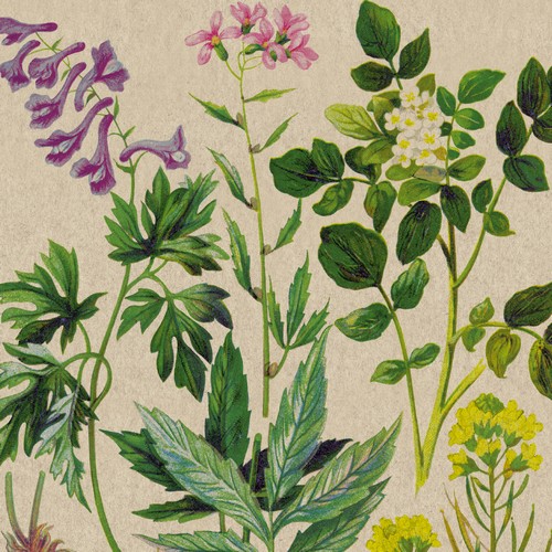 25 Servietten nachhaltig Botanical Pattern - Natürliche Botanik 33x33cm
