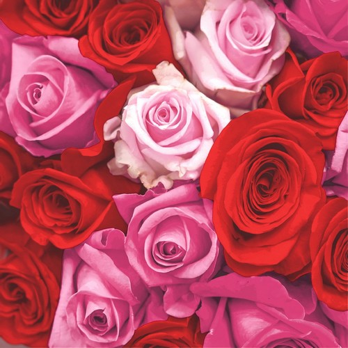 20 Servietten Rose essence - Überwältigende Rosenvielfalt 33x33cm