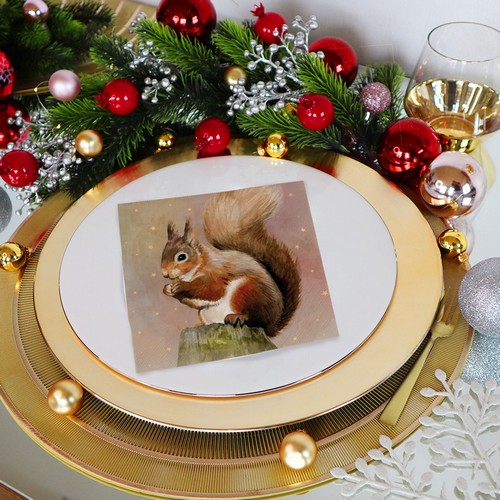 20 Servietten Judy - Eichhörnchen mit Sterne 33x33cm