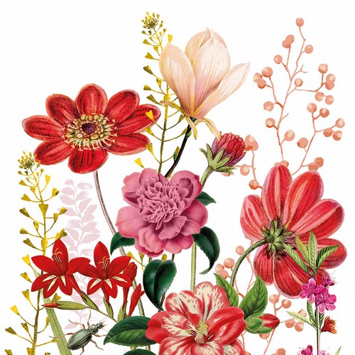 20 Floria napkins - Red flowers in a summer meadow 33x33cm