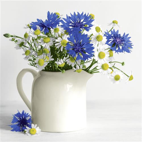 20 Servietten Summer Bouquet - Blumenstrauß in Kanne 33x33cm