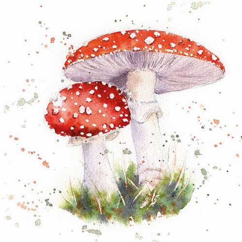 20 Servietten Painted Fly Agaric - Gemaltes Fliegenpilz-Paar 33x33cm